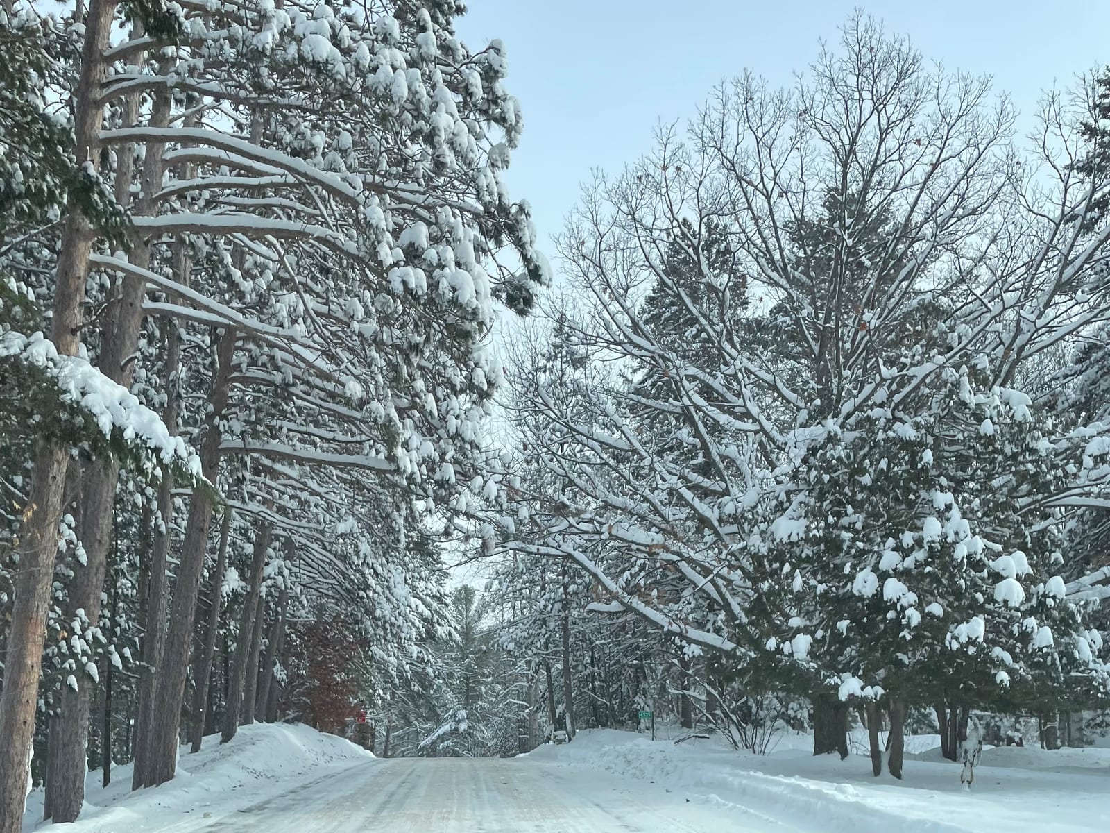 A snowy landscape featuring a road lined with tall trees covered in snow, showcasing a winter scene in Oneida County